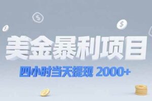 （15251期）美金暴利项目，四小时当天提现 2000+机会留给会选赛道的人-麦资源网