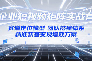 企业短视频矩阵实战营：赛道定位模型+团队搭建体系+精准获客变现增效方案-麦资源网