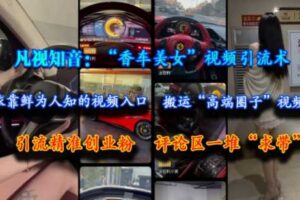 凡视知音：“香车美女”视频引流术，依靠鲜为人知的视频入口，搬运“高端圈子”视频，引流精准创业粉，评论区一堆“求带”-麦资源网
