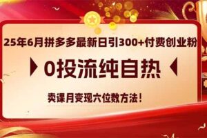 (14989期)25年6月拼多多最新日引300+付费创业粉,0投流纯自热 卖课月变现六位数方法-麦资源网