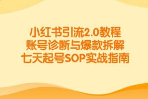小红书引流2.0教程，账号诊断与爆款拆解，七天起号SOP实战指南-麦资源网