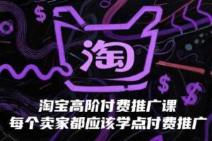 淘宝高阶付费推广课，每个卖家都应该学点付费推广-麦资源网