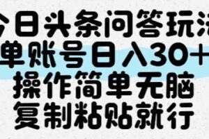 今日头条问答玩法，单账号日入30+，操作简单无脑复制粘贴就行-麦资源网