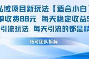 私域项目新玩法【适合小白】 一单收费88.每天稳定收益几张-麦资源网