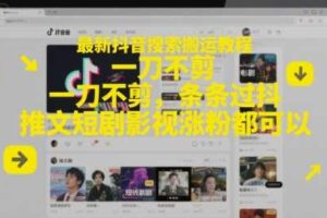 最新抖音搜索搬运教程，一刀不剪，条条过抖，推文短剧影视涨粉都可以-麦资源网