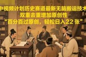中视频计划历史赛道最新无脑搬运技术，双重去重增加原创性，百分百过原创，轻松日入2张-麦资源网
