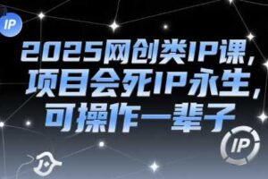 2025网创类IP课，项目会死IP永生，可操作一辈子-麦资源网