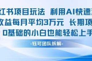 适合小白操作的小红书新项目，利用AI快速涨粉，收益每月平均1W+-麦资源网