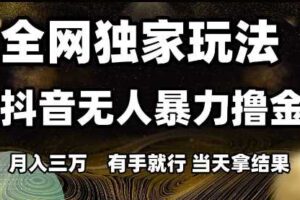 全网独家玩法抖音无人暴力撸金,月入3W,有手就行,当天拿结果【揭秘】-麦资源网