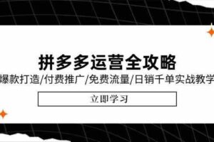 拼多多运营全攻略，爆款打造/付费推广/免费流量/日销千单实战教学/6月更新-麦资源网