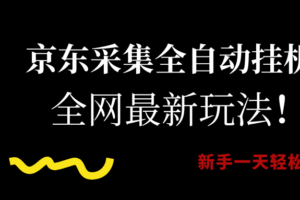 （15237期）京东采集全自动挂机，全网最新玩法，新手一天轻松500+-麦资源网
