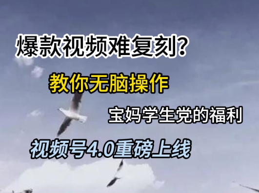 视频号4.0重磅上线，*视频难复刻？教你无脑操作宝妈学生党的福利【揭秘】