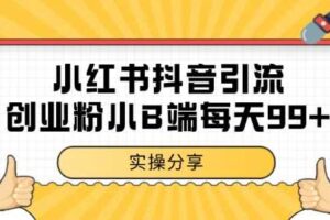 小红书抖音创业粉,小B端粉自热 日引99+的一个玩法【揭秘】-麦资源网
