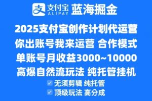 2025支付宝创作分成计划代运营，高爆自然流玩法，纯挂机高分成，合作共赢模式！-麦资源网