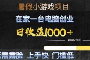 暑假小游戏项目,在家一台电脑创业,日收益1k+,无需露脸,上手快门槛低【揭秘】-麦资源网