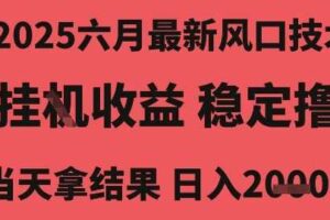 2025六月最新风口技术，无人挂G撸礼物，长期稳定 一个小时收益2k+，小白当天拿结果【揭秘】-麦资源网