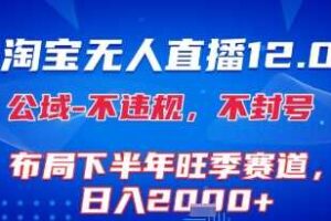 淘宝无人直播12.0，不封号，不违规，布局下半年旺季赛道，日入1k+(独家技术)【揭秘】-麦资源网