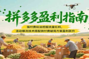 拼多多盈利指南：强付费玩法挖掘流量红利，活动爆流技术搭配微付费方案实现盈利跃升-麦资源网