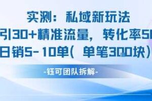 实测私域新玩法日引30加精准流量转化率50%日销5-10单每笔3张-麦资源网