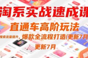 （15374期）淘系实战速成课，直通车高阶玩法，搜索流量提升，爆款全流程打造(更新7月)-麦资源网