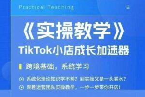大卖家孵化中心TikTok实操课,TikTok小店成长加速器,跨境基础系统学习,一步一步带你开店-麦资源网