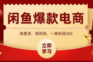 （15422期）闲鱼高利润电商，入门到出单只需3小时，每天利润1000+-麦资源网