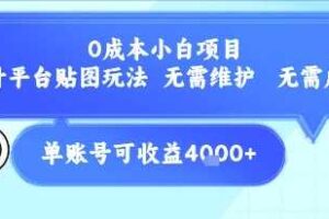 0成本小白项目，设计平台贴图玩法，无需维护，无需成本，单账号单月可产生收益4k+-麦资源网
