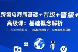 （15496期）跨境电商基础+晋级+高级课：基础概念解析,Tk私域涨粉技巧,AI客服系统搭建-麦资源网