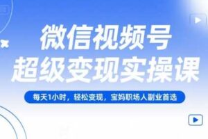 微信视频号超级变现实操课，每天1小时，轻松变现，宝妈职场人副业首选-麦资源网