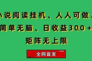 小说挂G阅读，人人可做，简单无脑，一天收益3张+矩阵无限上，全网首发【揭秘】-麦资源网