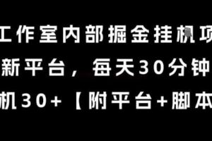 某工作室内部掘金挂G项目，新平台，每天30分钟，单机30+【揭秘】-麦资源网