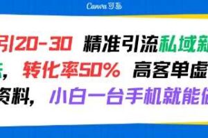 日引 20-30 精准引流私域新玩法，转化率50% 高客单虚拟资料，小白一台手机就能做-麦资源网