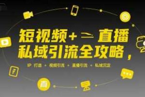 短视频+直播私域引流全攻略，IP打造 +视频引流 +直播引流 +私域沉淀-麦资源网