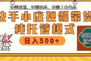 快手小店托管代运营，无需剪辑，无需选品，无需上传作品，全程无需操作，轻松月入5k+【揭秘】-麦资源网