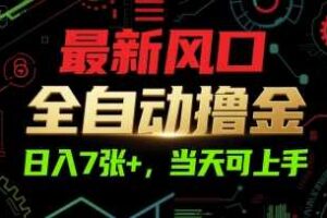 最新风口，全自动撸金，日入7张+，当天可上手【揭秘】-麦资源网