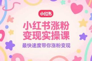 小红书涨粉变现实操课，最快速度带你涨粉变现-麦资源网