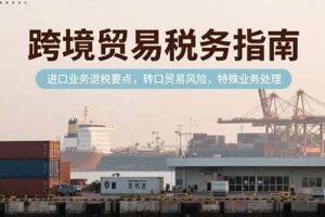 （15381期）跨境贸易税务指南，进口业务退税要点，转口贸易风险，特殊业务处理-麦资源网