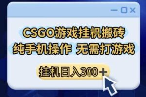 CSGO游戏挂G搬砖，小白纯手机即可操作，不用电脑打游戏，日入3张+，副业网创项目【揭秘】-麦资源网