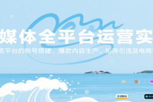 自媒体全平台运营实战，主流平台的账号搭建、爆款内容生产、矩阵引流及电商变现-麦资源网