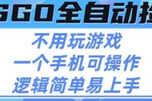 CSGO自动捡漏项目，最新独家玩法，不用挂G不用玩游戏，一个手机即可操作，新手小白轻松月入1W+【揭秘】-麦资源网