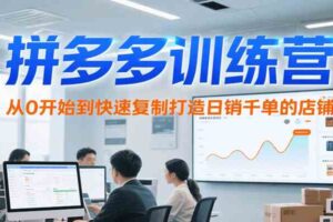 拼多多训练营，从0开始到快速复制打造日销千单的店铺（更新7月）-麦资源网