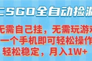 CSGO自动捡漏项目，最新独家玩法，一个手机可操作，新手小白轻松月入1W+，操作简单易上手【揭秘】-麦资源网