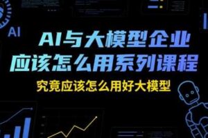 AI与大模型企业应该怎么用系列课程，究竟应该怎么用好大模型-麦资源网
