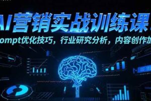 （15465期）AI营销实战训练课：Prompt优化技巧，行业研究分析，内容创作加速-麦资源网