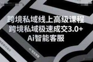 跨境私域线上高级课程，跨境私域极速成交3.0+Ai智能客服-麦资源网
