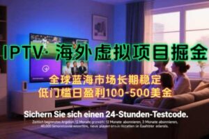 【海外虚拟项目掘金】日入100-200美刀，自己在家就可以闷声发大财，长期可做，工作室可复制扩大【揭秘】-麦资源网
