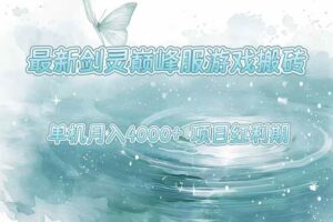 （15491期）最新剑灵巅峰服游戏搬砖，项目红利期，单机稳定4000+操作简单好上手-麦资源网