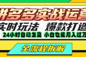拼多多最新实战运营高投产:长久稳定项目,单店利润一天三位数-麦资源网
