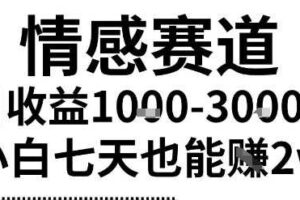2025最新风口情感无脑暴力掘金项目，新人操作一周挣了2W，长期稳定小白可做【揭秘】-麦资源网