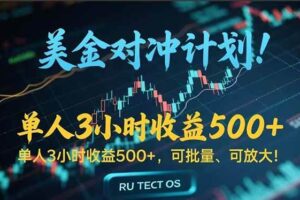 （15321期）长久稳定的撸美金项目，平均3小时收入 500+，可公司实地考察实地操作！-麦资源网